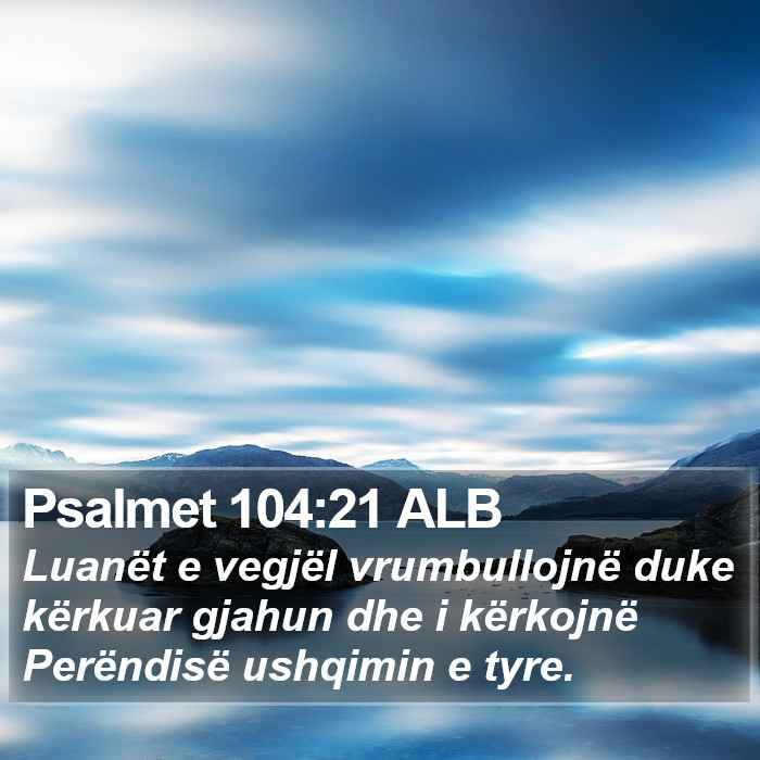 Psalmet 104:21 ALB Bible Study