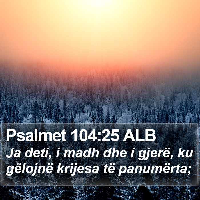 Psalmet 104:25 ALB Bible Study