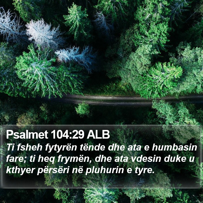 Psalmet 104:29 ALB Bible Study