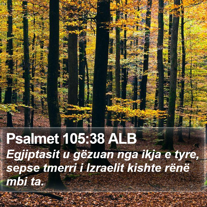 Psalmet 105:38 ALB Bible Study