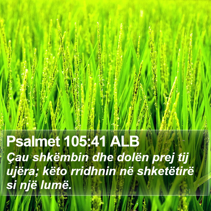 Psalmet 105:41 ALB Bible Study