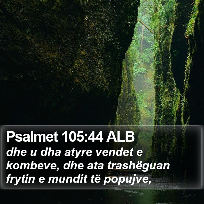 Psalmet 105:44 ALB Bible Study