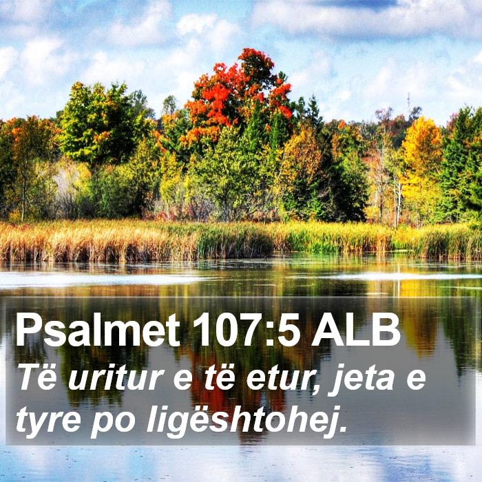 Psalmet 107:5 ALB Bible Study