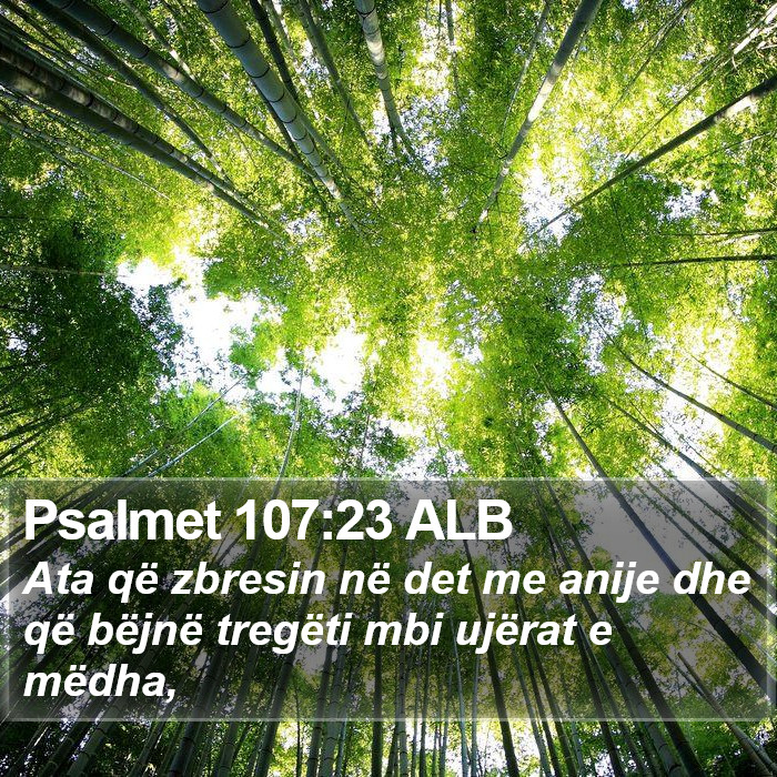 Psalmet 107:23 ALB Bible Study
