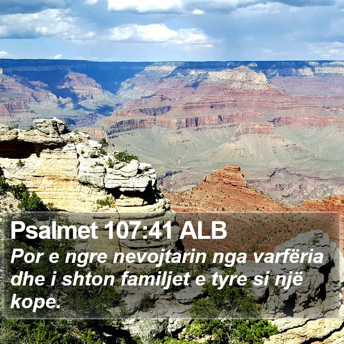 Psalmet 107:41 ALB Bible Study