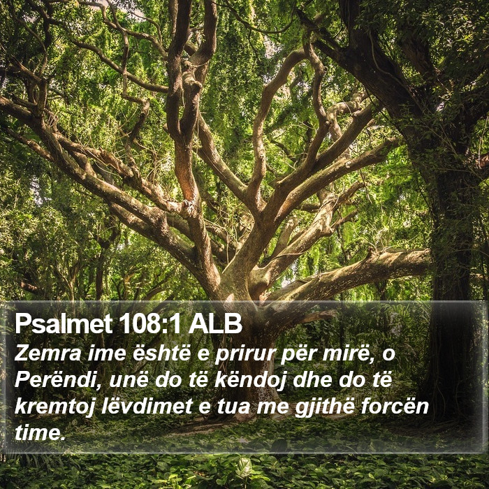 Psalmet 108:1 ALB Bible Study