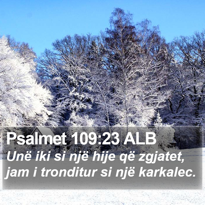 Psalmet 109:23 ALB Bible Study