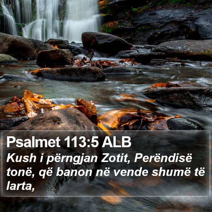 Psalmet 113:5 ALB Bible Study