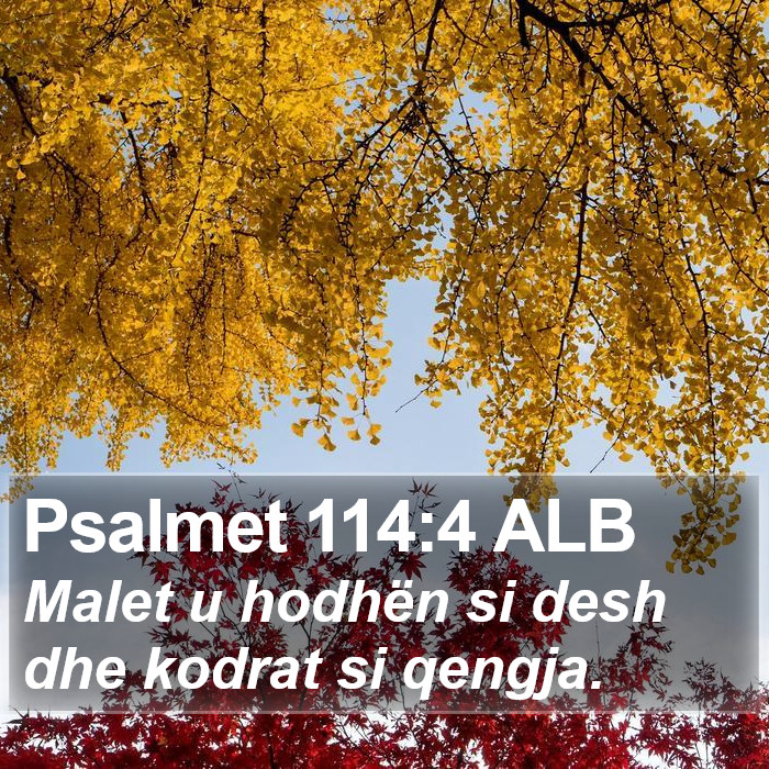 Psalmet 114:4 ALB Bible Study