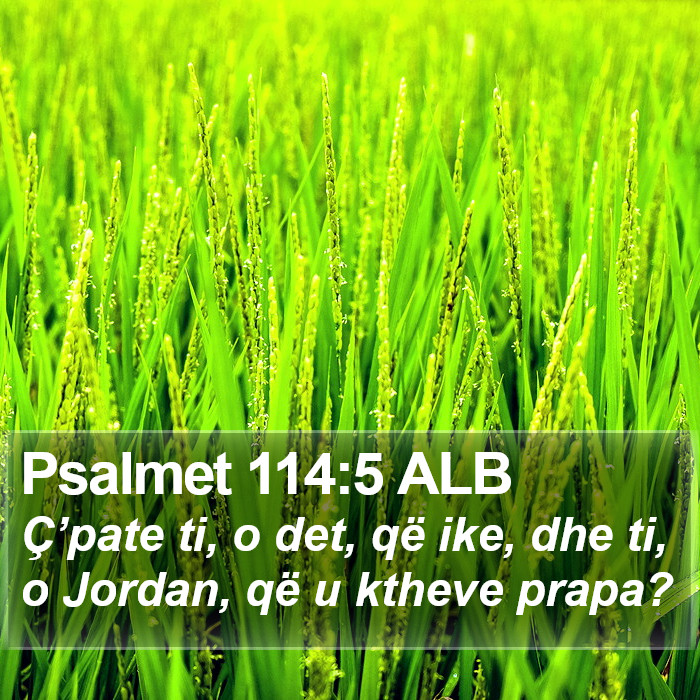 Psalmet 114:5 ALB Bible Study