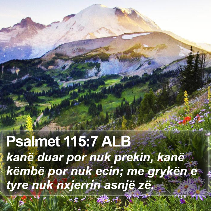 Psalmet 115:7 ALB Bible Study