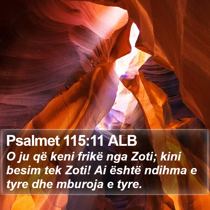 Psalmet 115:11 ALB Bible Study