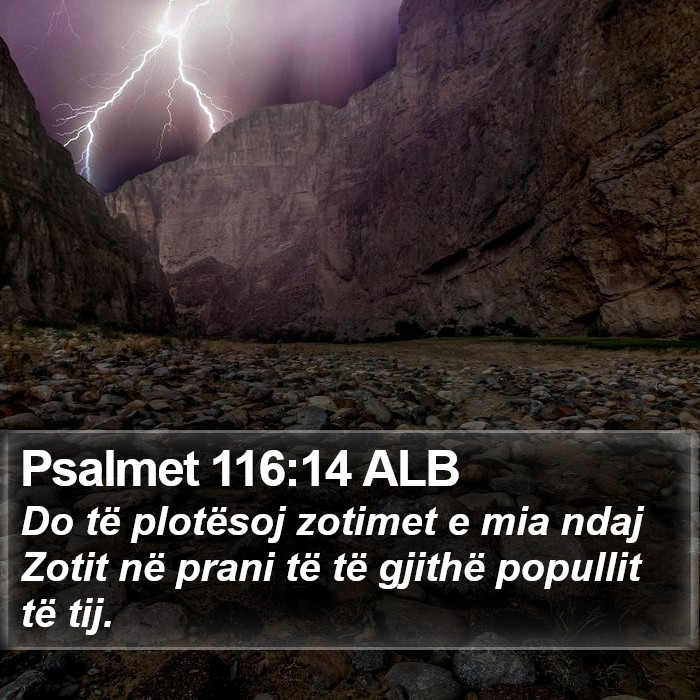 Psalmet 116:14 ALB Bible Study