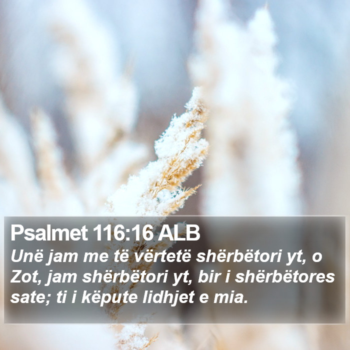 Psalmet 116:16 ALB Bible Study
