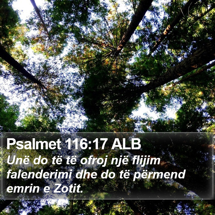 Psalmet 116:17 ALB Bible Study