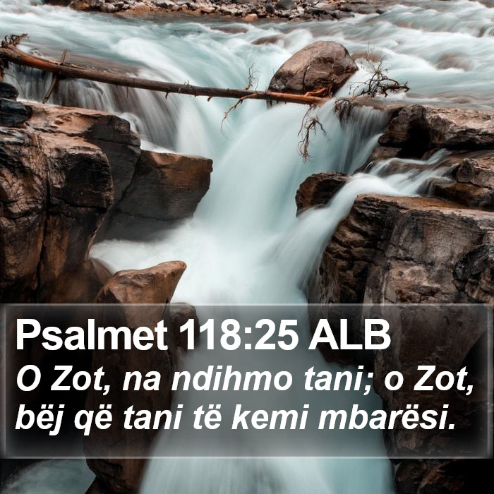 Psalmet 118:25 ALB Bible Study