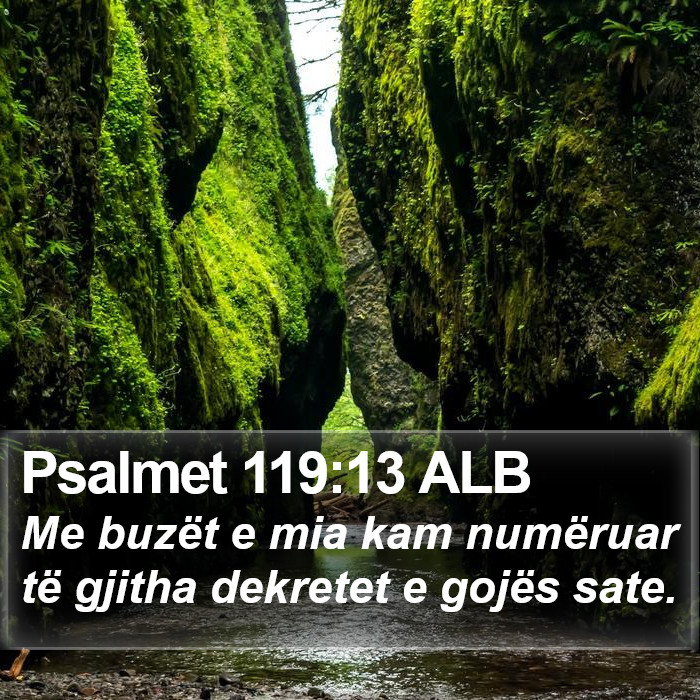 Psalmet 119:13 ALB Bible Study