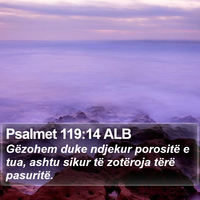 Psalmet 119:14 ALB Bible Study