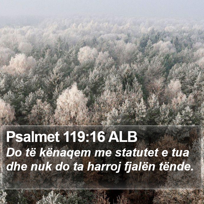 Psalmet 119:16 ALB Bible Study