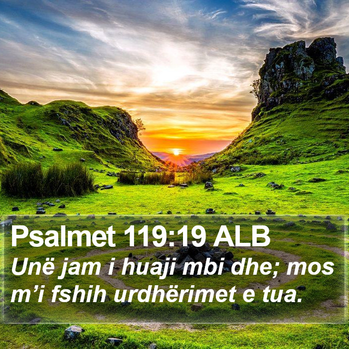 Psalmet 119:19 ALB Bible Study