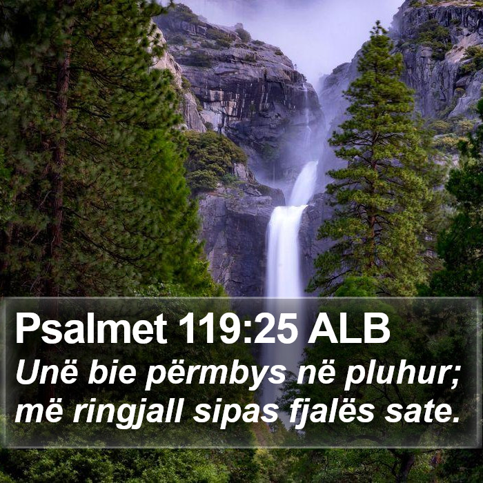 Psalmet 119:25 ALB Bible Study