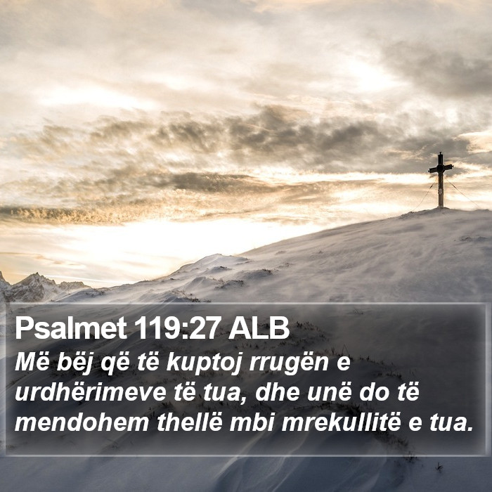 Psalmet 119:27 ALB Bible Study