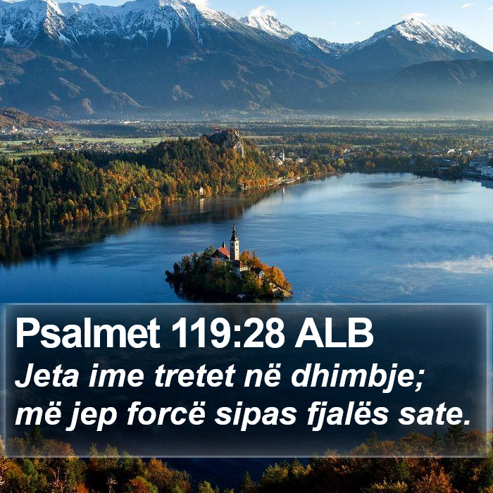 Psalmet 119:28 ALB Bible Study