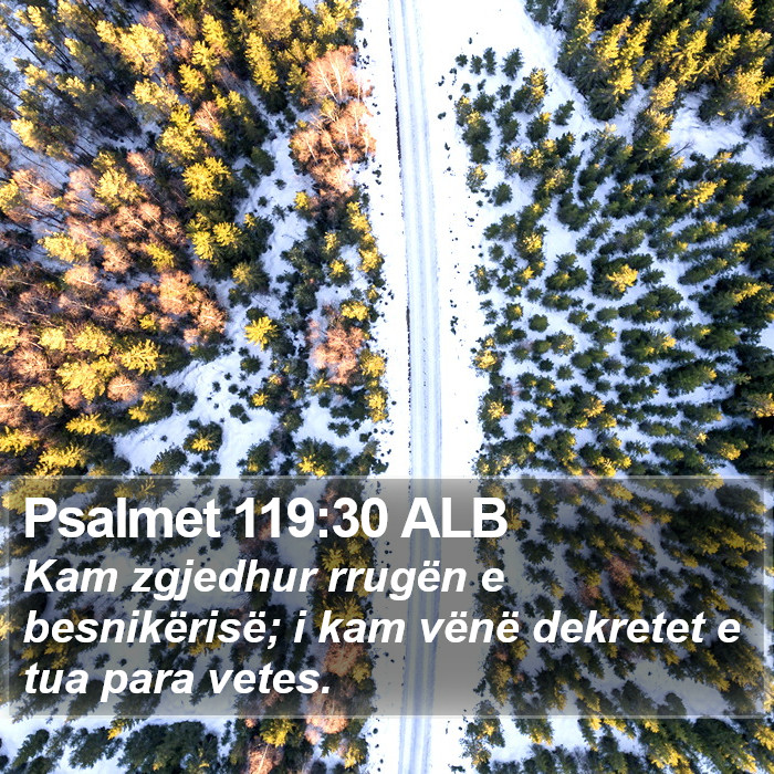 Psalmet 119:30 ALB Bible Study