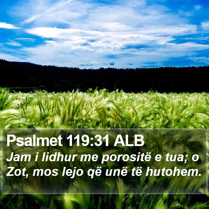 Psalmet 119:31 ALB Bible Study