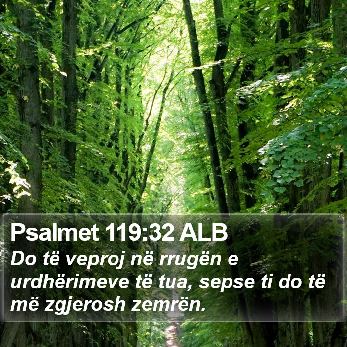 Psalmet 119:32 ALB Bible Study