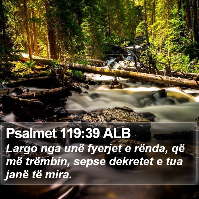 Psalmet 119:39 ALB Bible Study