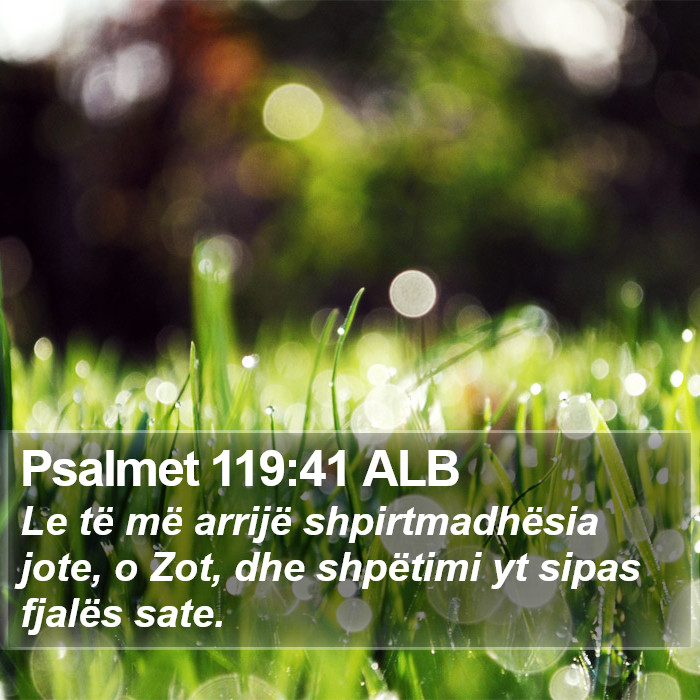 Psalmet 119:41 ALB Bible Study