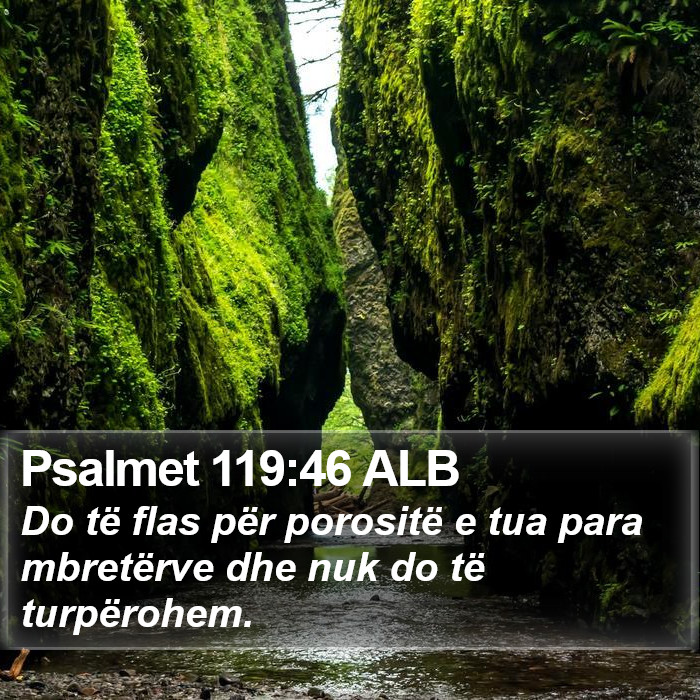 Psalmet 119:46 ALB Bible Study