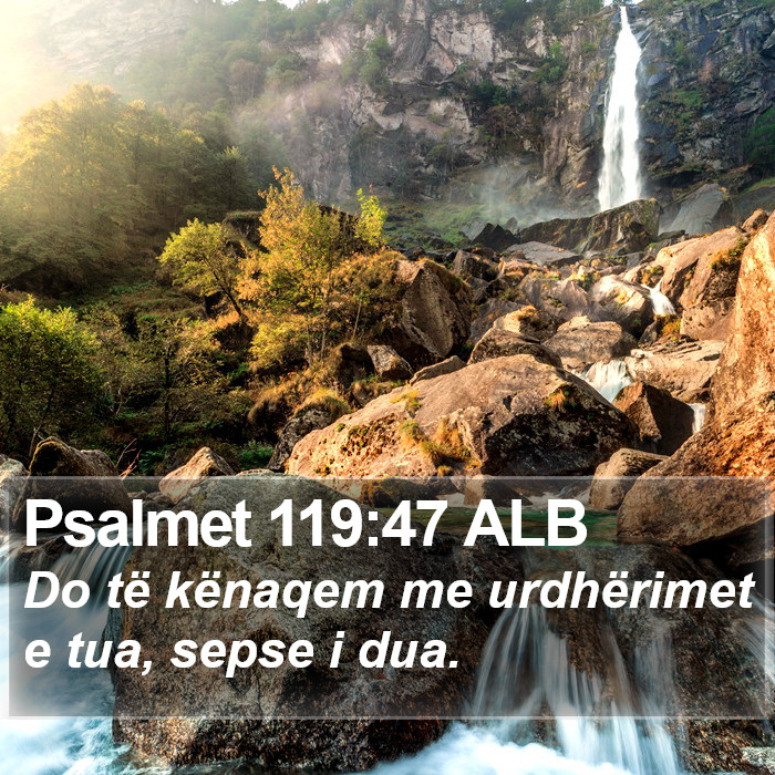 Psalmet 119:47 ALB Bible Study