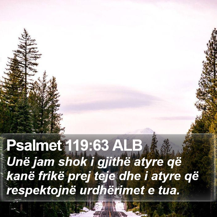 Psalmet 119:63 ALB Bible Study