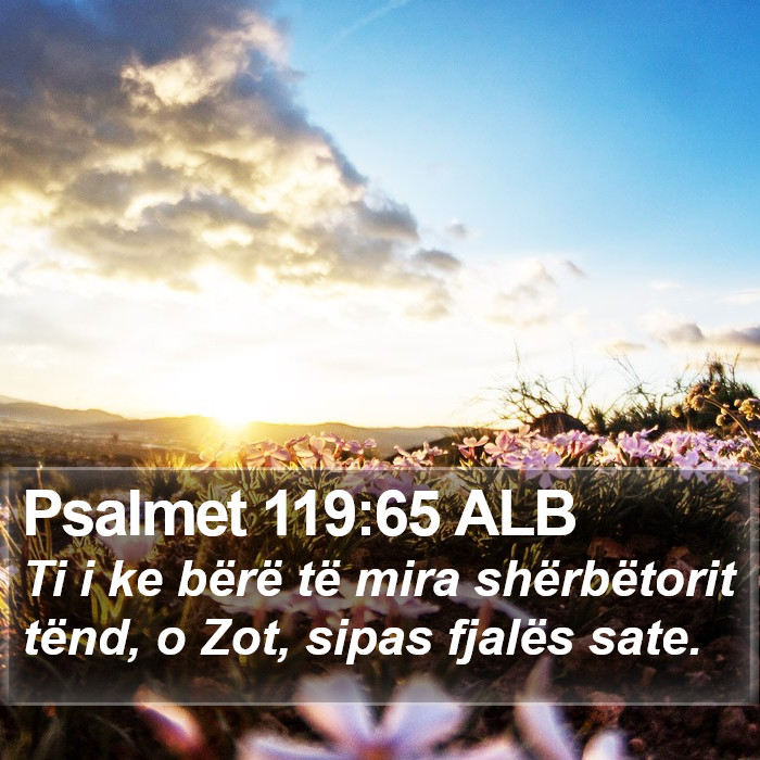 Psalmet 119:65 ALB Bible Study