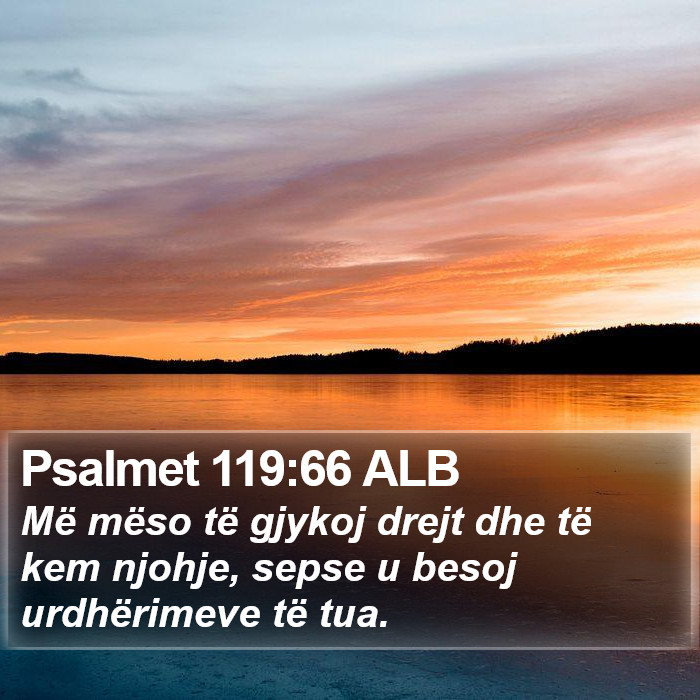 Psalmet 119:66 ALB Bible Study