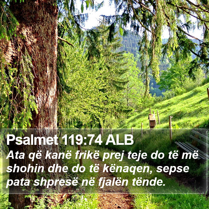 Psalmet 119:74 ALB Bible Study