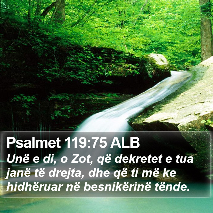 Psalmet 119:75 ALB Bible Study