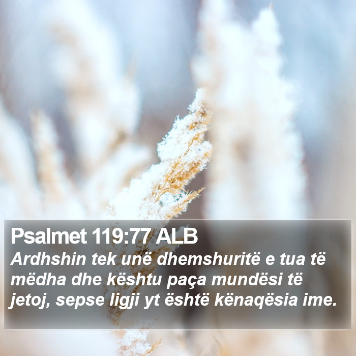 Psalmet 119:77 ALB Bible Study