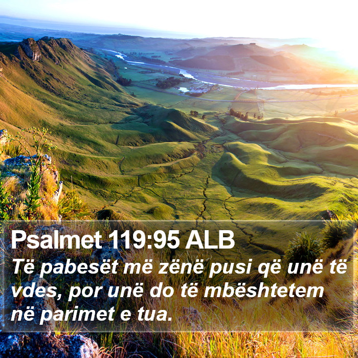 Psalmet 119:95 ALB Bible Study