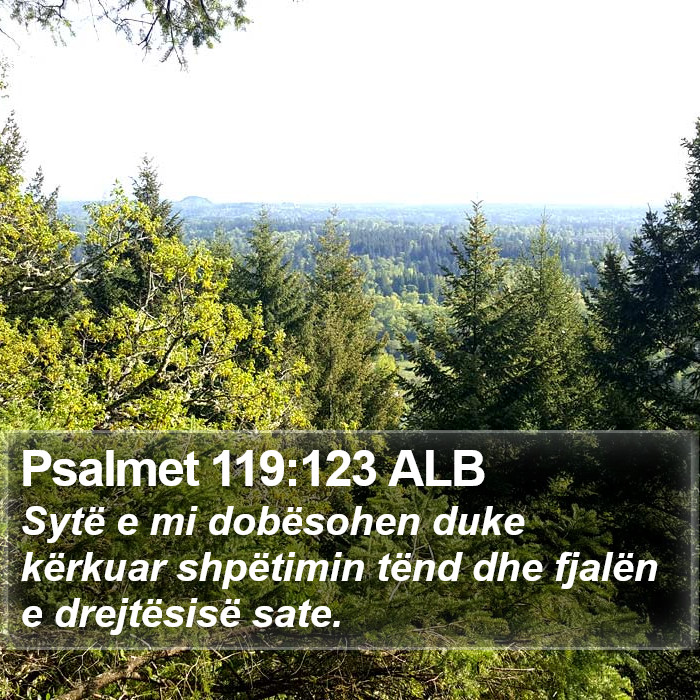 Psalmet 119:123 ALB Bible Study