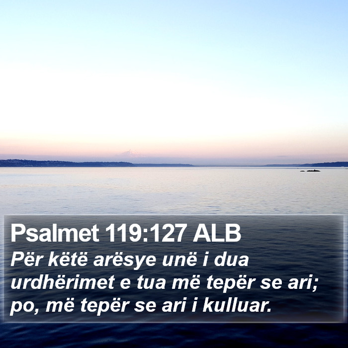 Psalmet 119:127 ALB Bible Study