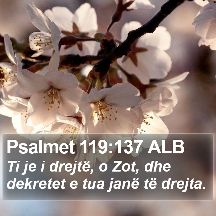 Psalmet 119:137 ALB Bible Study