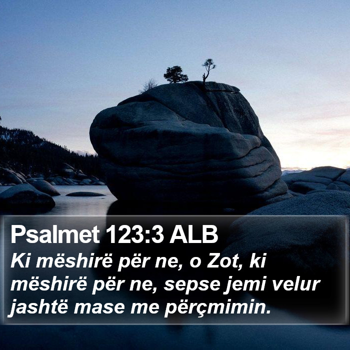 Psalmet 123:3 ALB Bible Study