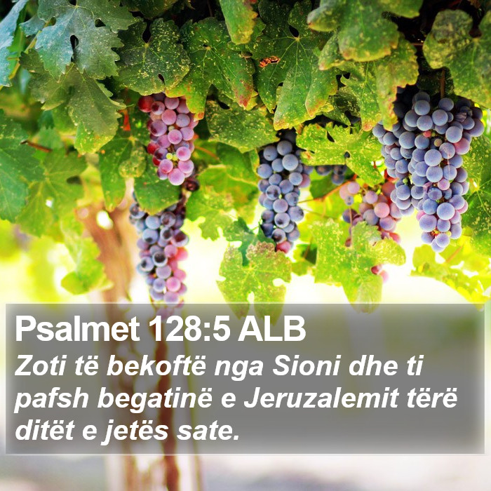 Psalmet 128:5 ALB Bible Study