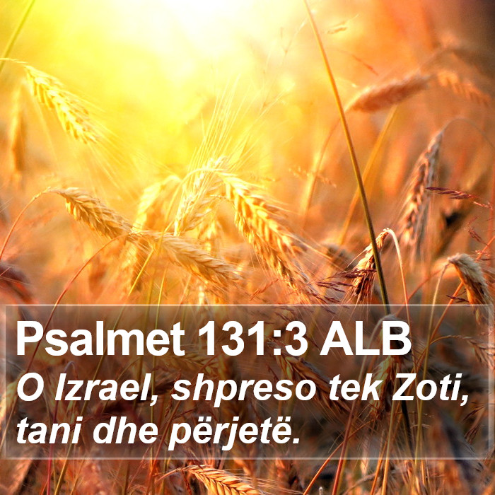 Psalmet 131:3 ALB Bible Study