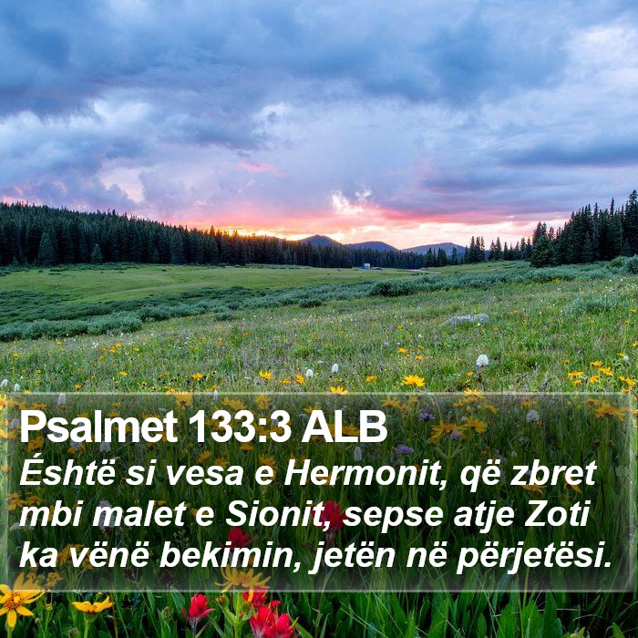 Psalmet 133:3 ALB Bible Study