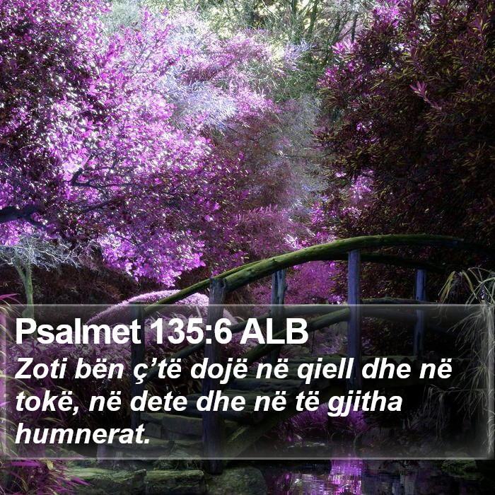 Psalmet 135:6 ALB Bible Study