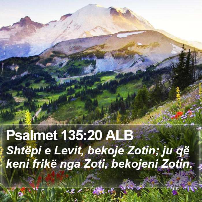 Psalmet 135:20 ALB Bible Study